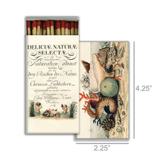 Load image into Gallery viewer, Matches - Shells 1775 - Red