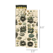 Load image into Gallery viewer, Matches - Nest & Eggs