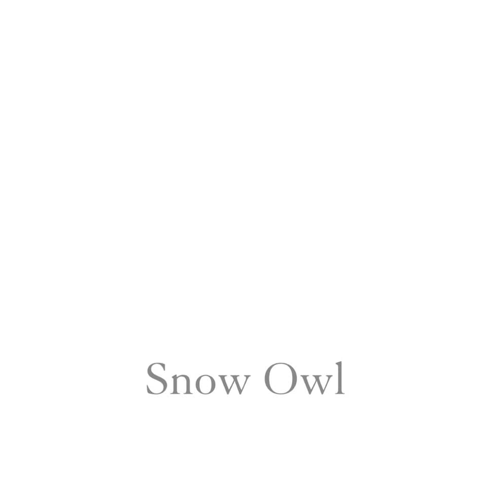 One Hour Ceramic - Snow Owl