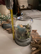Load image into Gallery viewer, Bird Nest Cloche Funshop