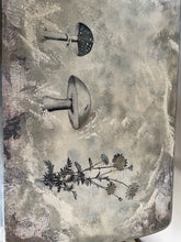 Load image into Gallery viewer, Fungi Forest~TAKEN