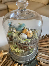 Load image into Gallery viewer, Bird Nest Cloche Funshop