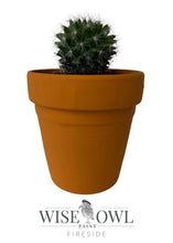 Load image into Gallery viewer, Wise Owl Chalk Synthesis Paint - Fireside