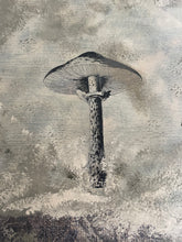 Load image into Gallery viewer, Fungi Forest~TAKEN