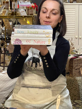 Load image into Gallery viewer, Decor Book Stack