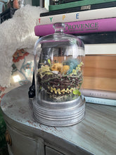 Load image into Gallery viewer, Bird Nest Cloche Funshop