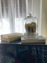 Load image into Gallery viewer, Bird Nest Cloche Funshop