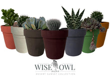 Load image into Gallery viewer, Native Clay