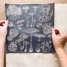 Load image into Gallery viewer, Fungi - Mesh Stencil 12x12
