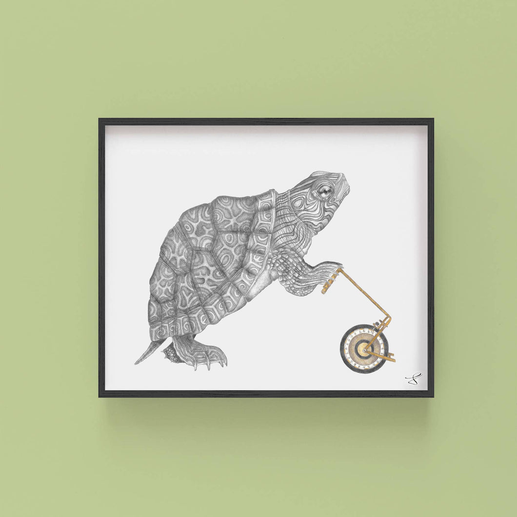 Muldoon Parker Common Map Turtle Art Print