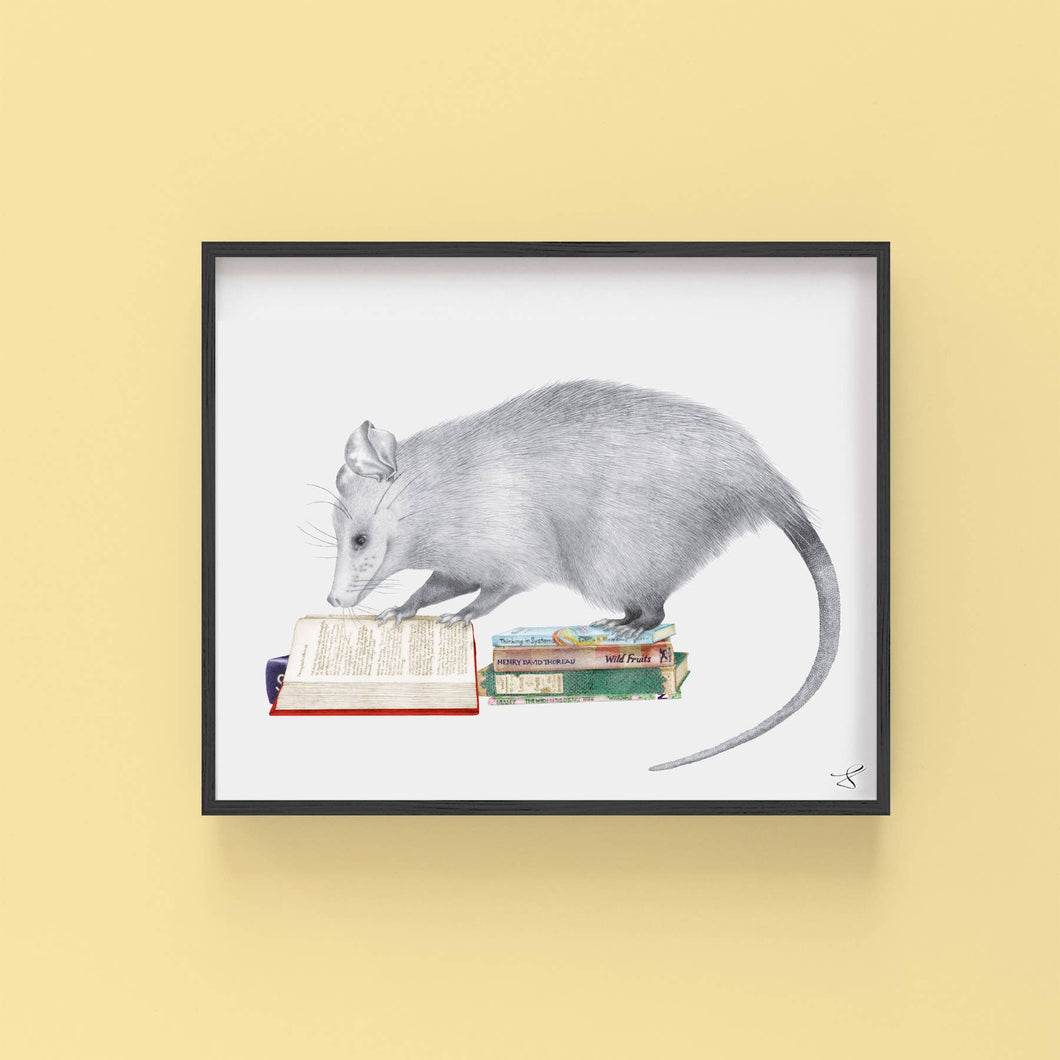 Henry Gossamer Opossum Art Print