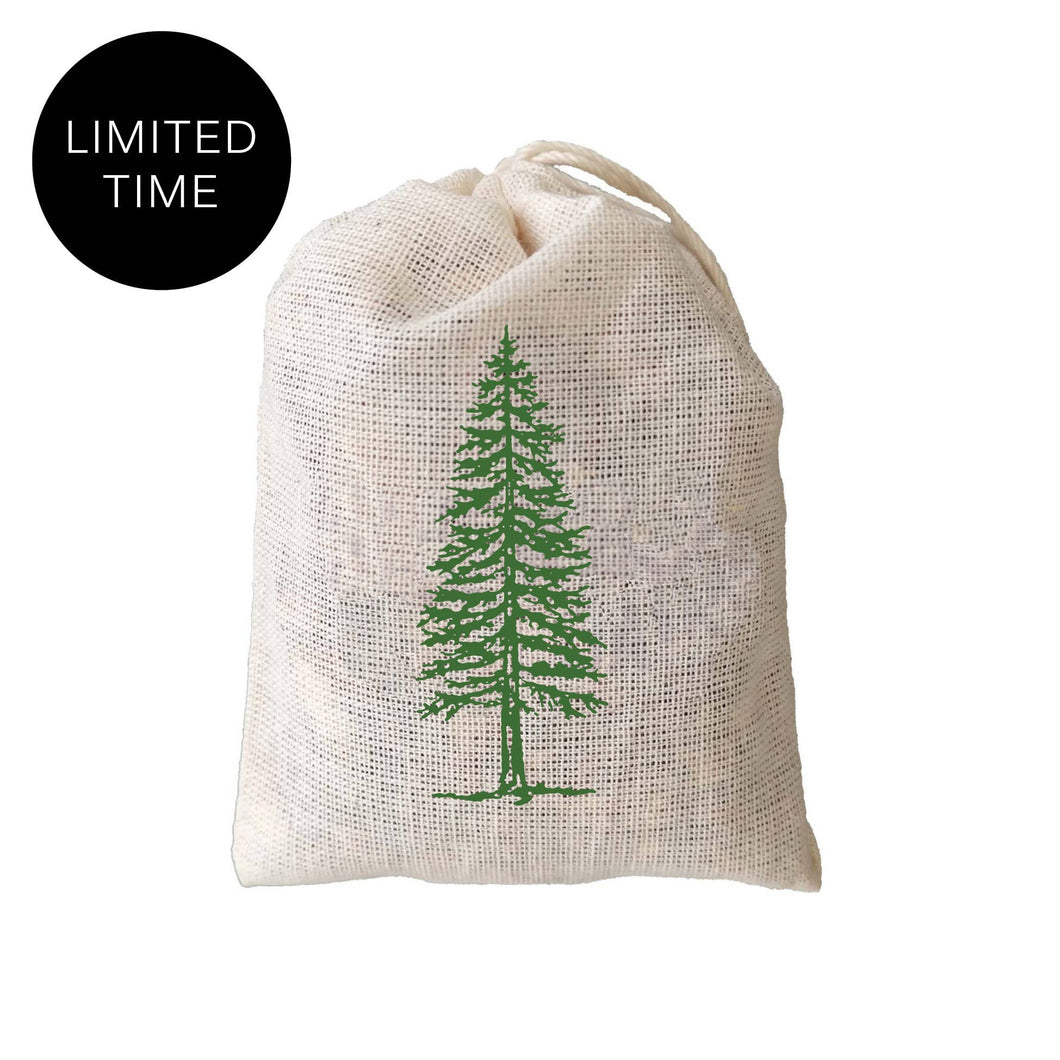 Evergreen Pine Balsam Sachets: 2.5 x 3.75 / Packaged in a set of 3 inside a clear box with product description sticker