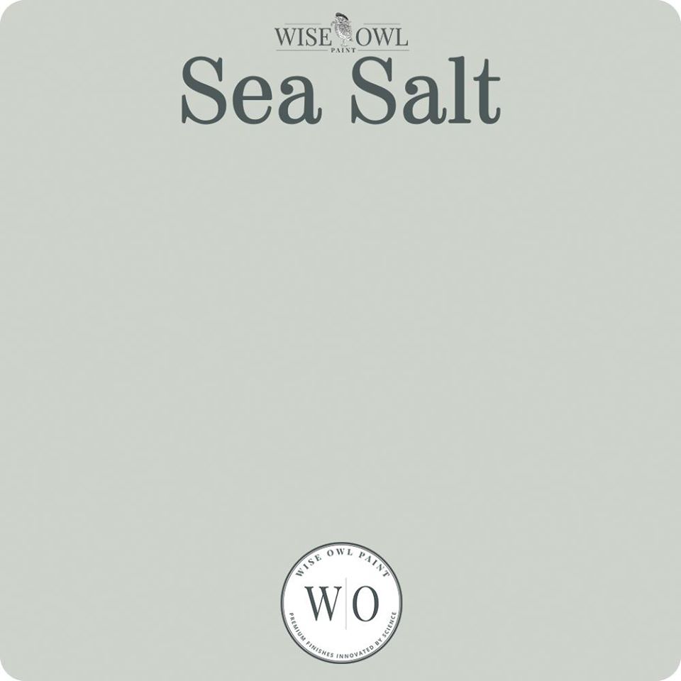 Wise Owl Chalk Synthesis Paint - Sea Salt