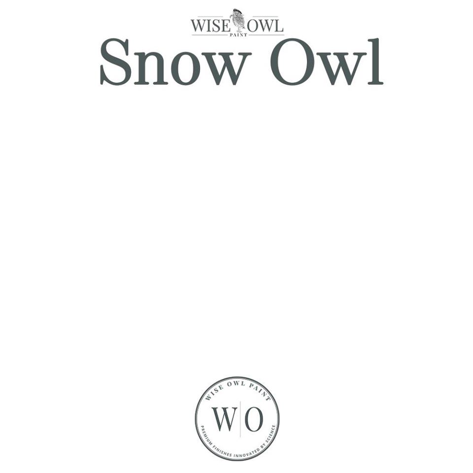 Wise Owl Chalk Synthesis Paint - Snow Owl