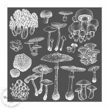 Load image into Gallery viewer, Fungi - Mesh Stencil 12x12
